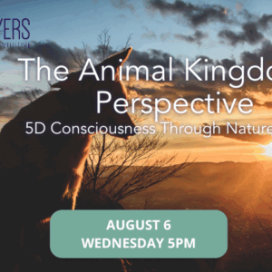 The Animal Kingdom’s Perspective