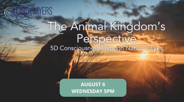 The Animal Kingdom’s Perspective