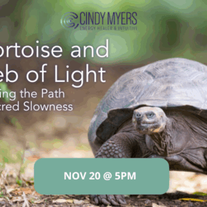 The Tortoise and the Web of Light — Walking the Path of Sacred Slowness