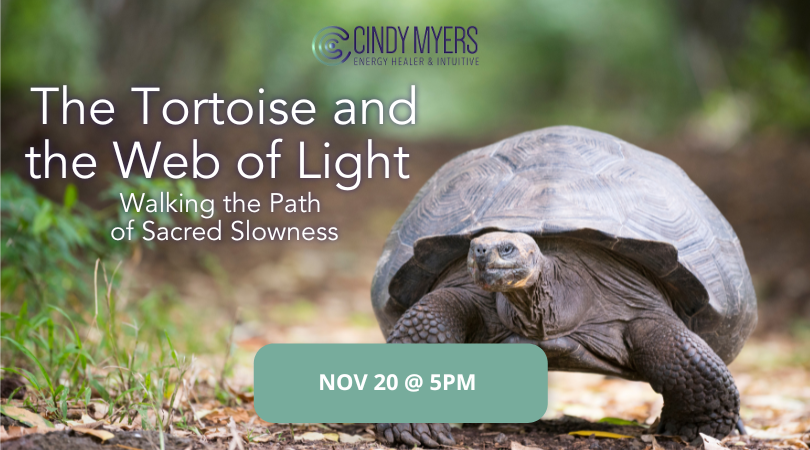 Cindy Meyers- Banners- Heal the Healers The Tortoise and the Web of Light — Walking the Path of Sacred Slowness