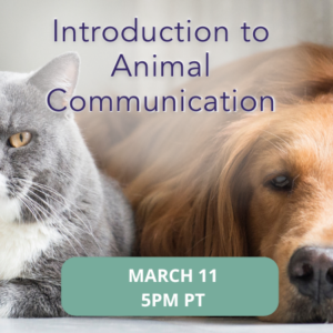 🐾 Introduction to Animal Communication with Cindy Myers
