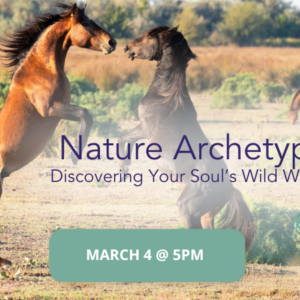 Nature Archetypes — Discovering Your Soul’s Wild Wisdom