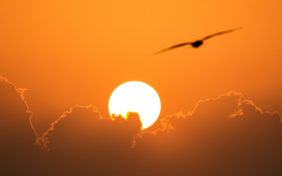 Have You Ever Wondered Why Your Entire Life Has Prepared You for This Moment?