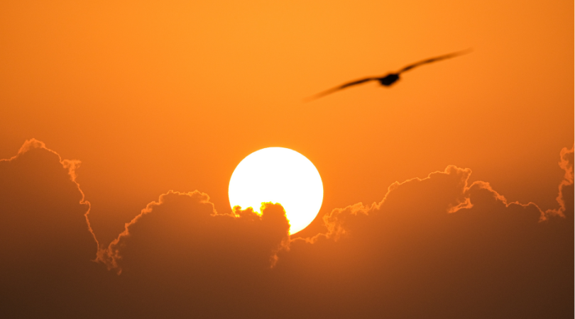 Have You Ever Wondered Why Your Entire Life Has Prepared You for This Moment? listening to your inner wisdom