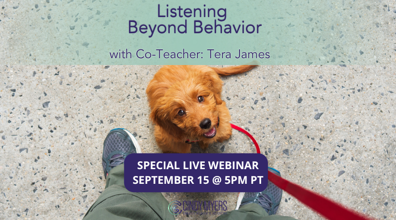 Animal & Emotions Webinar: September 15, 2026<br />
Listening Beyond Behavior